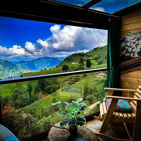 Organic Village Bed & Breakfast