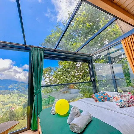 Bed & Breakfast Organic Village *