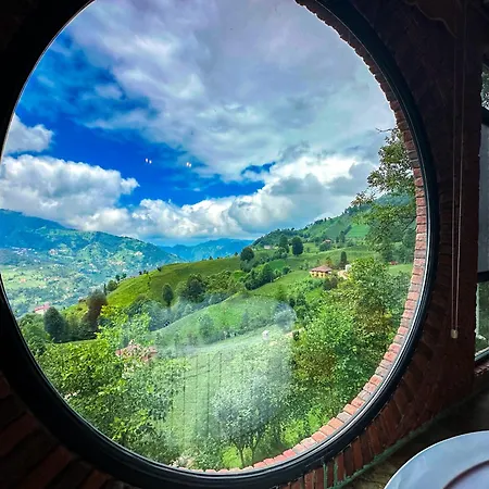 Organic Village Bed & Breakfast