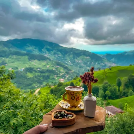 Organic Village * Ayder Yaylasi