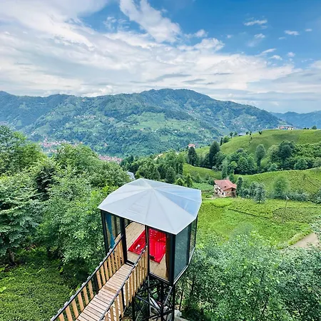 Bed & Breakfast Organic Village Ayder Yaylasi